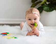 Load image into Gallery viewer, ChewBox Fruit Edition