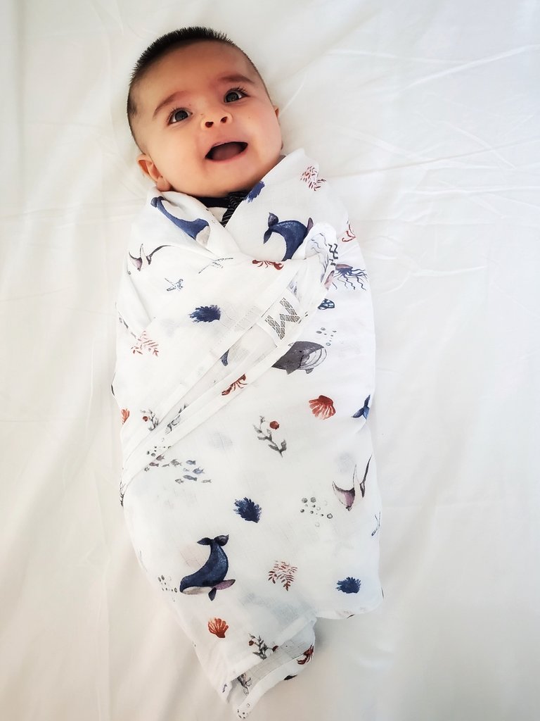 Under the Sea Organic Swaddle