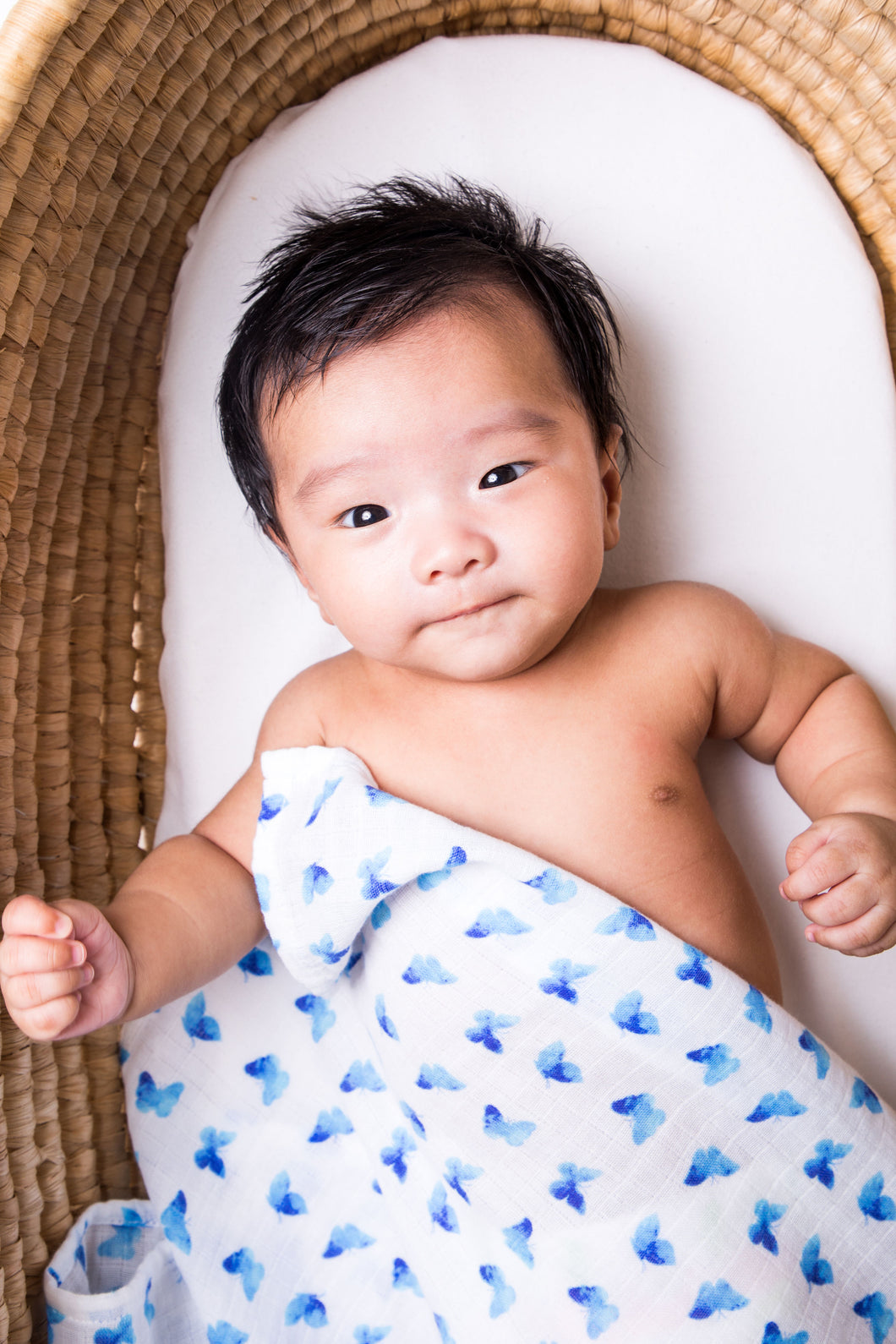 Blue Butterfly Organic Swaddle