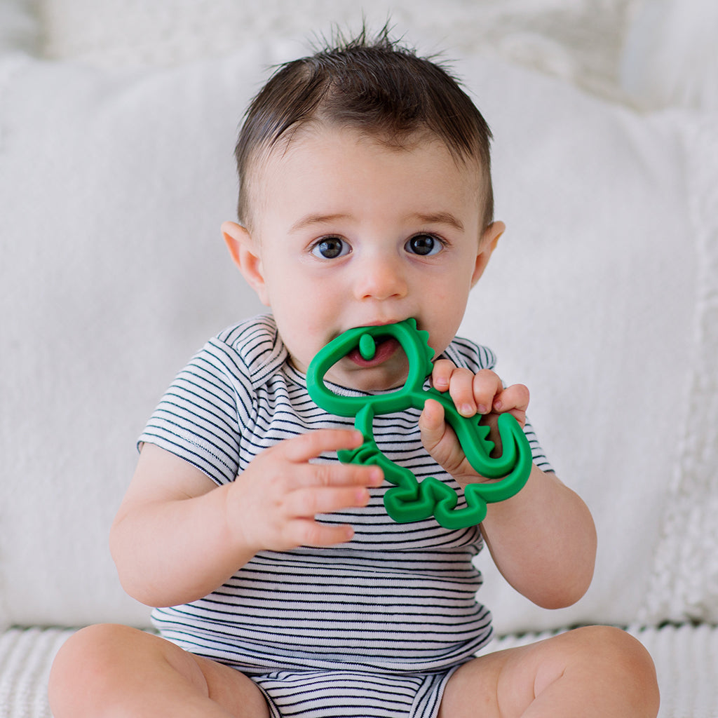 Dinosaur Silicone Teether